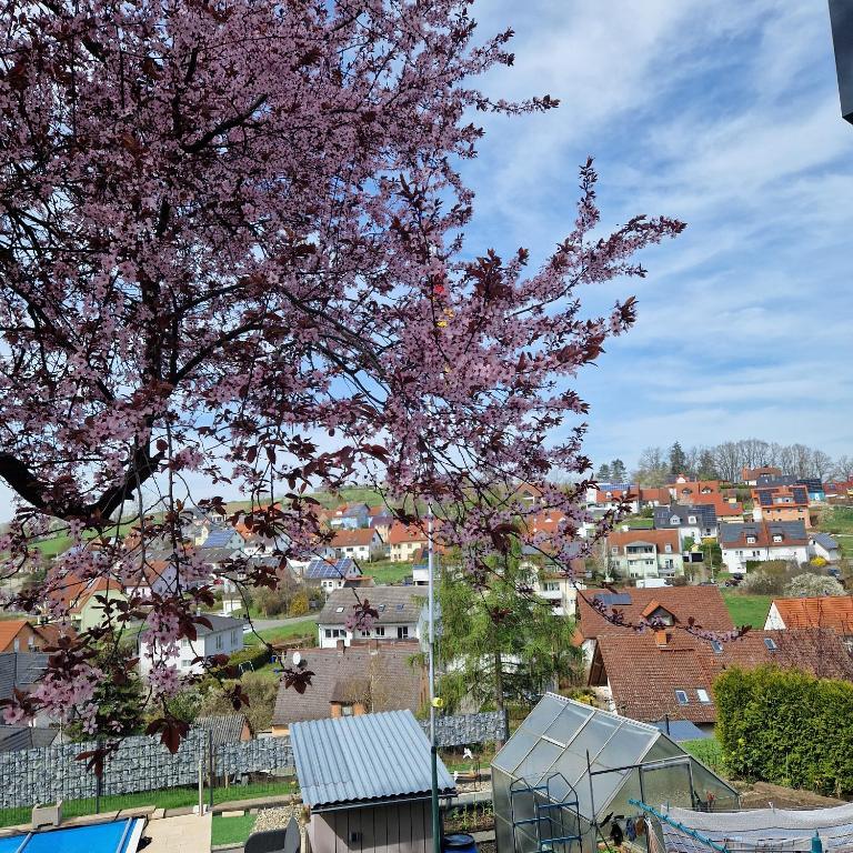 Ausblick Frühling